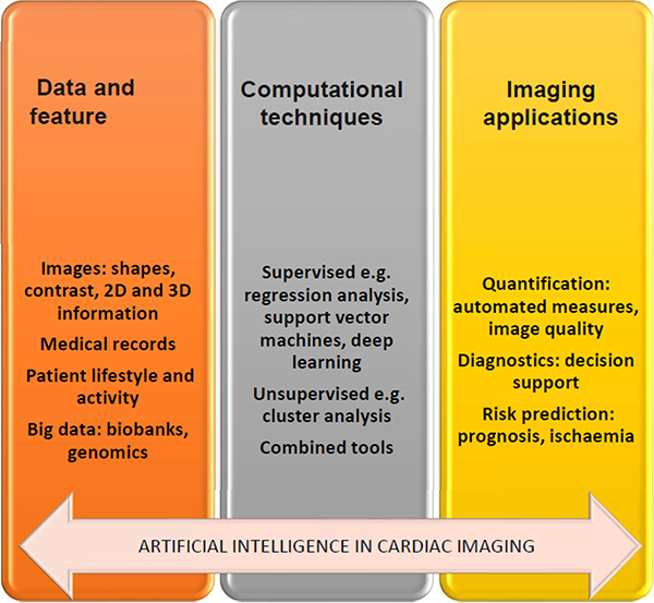 Steps to use artificial intelligence in cardiac imaging