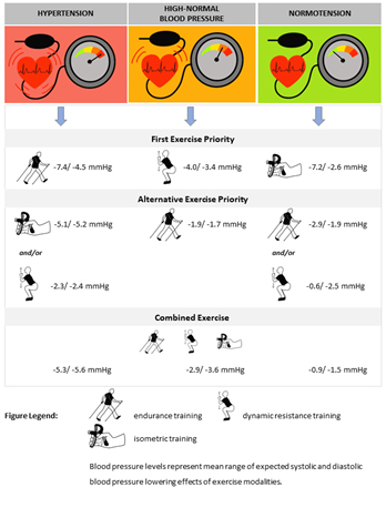 Exercise recommendations personalised to a patient's blood pressure category
