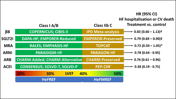 Medical management of HeFREF and HeFMREF